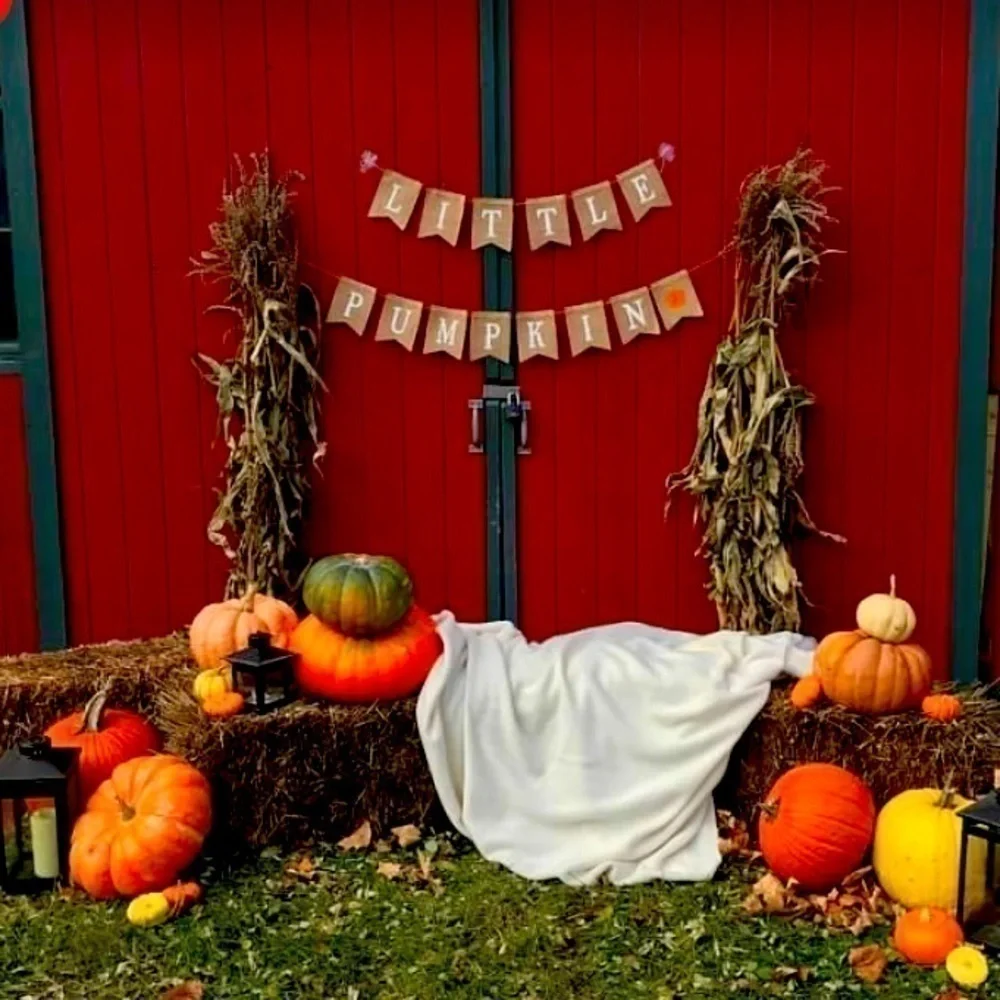 Little Pumpkin Birthday Bunting Banner Rustic burlap farmhouse first birthday